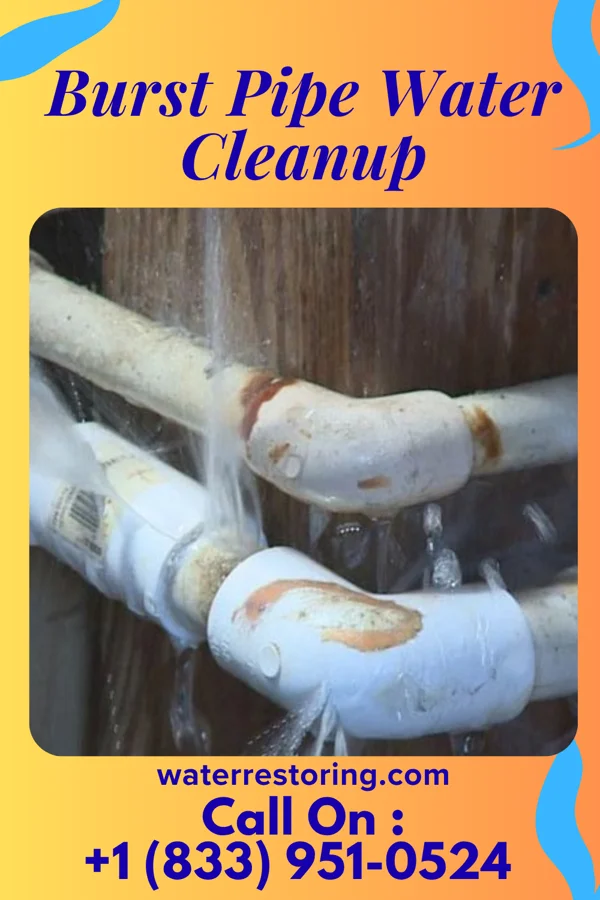 Burst Pipe Water Cleanup in Manhasset Hills, NY