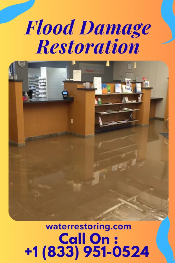 Flood Damage Restoration in Manhasset Hills, NY