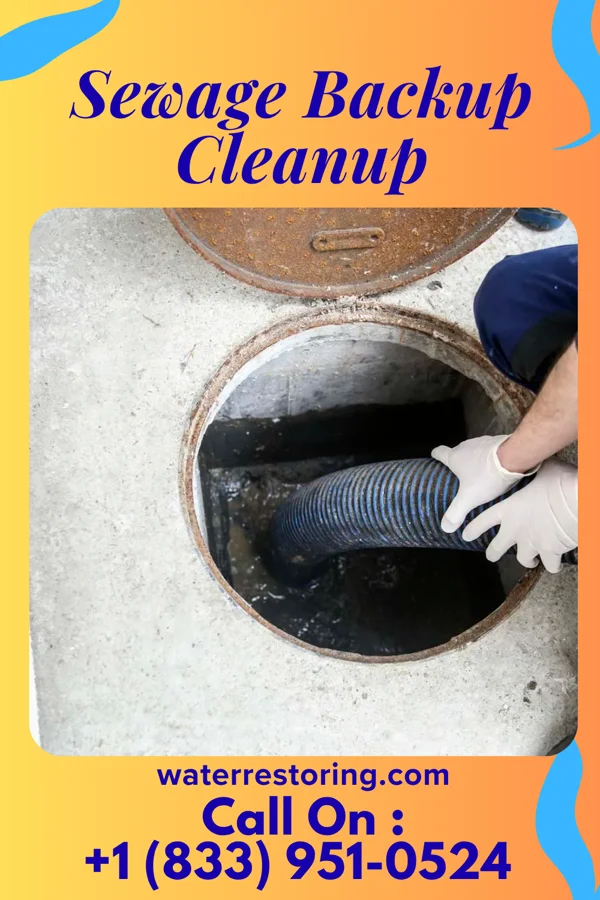 Sewage Backup Cleanup in Manhasset Hills, NY
