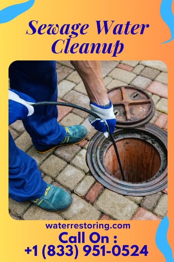 Sewage Water Cleanup in Manhasset Hills, NY