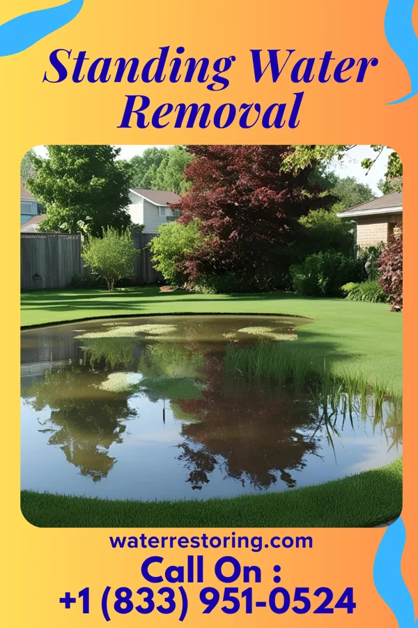 Standing Water Removal in Manhasset Hills, NY